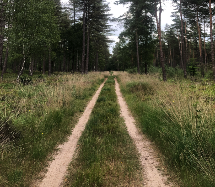 Foto blog 3 vierkant